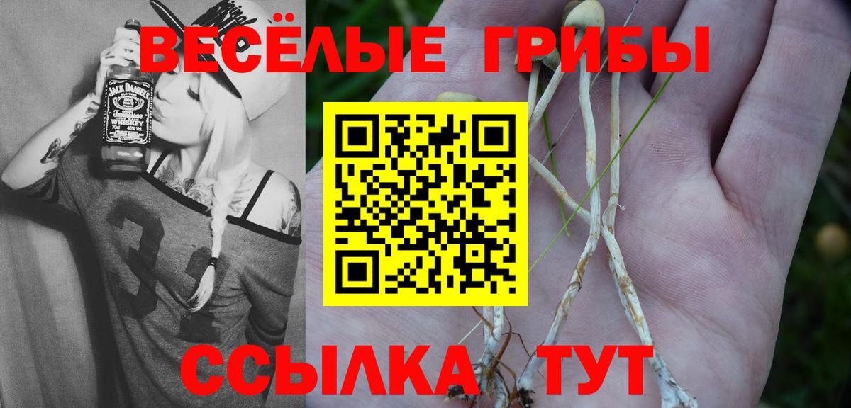 Спасск-Дальний  Галлюциногенные грибы MAGIC MUSHROOMS  что такое наркотик  Вход с VPN 
